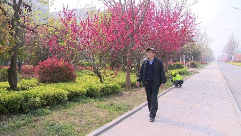 春日邳州 一座充满色彩的花园城市